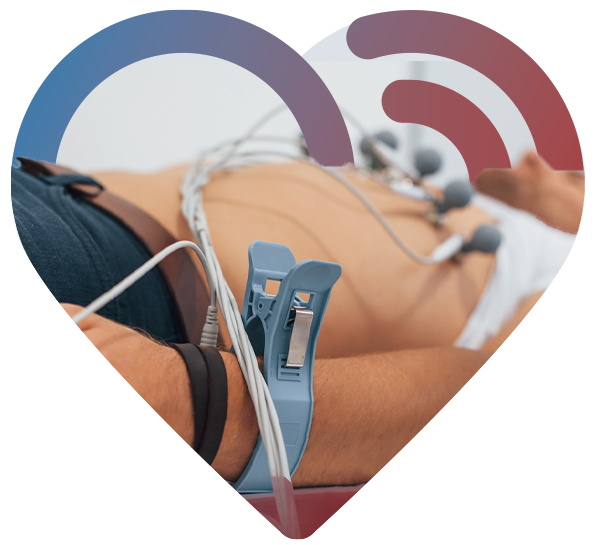 Imagem Ecocardiograma de Carotidas